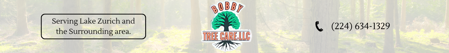Bobby Tree Care LLC