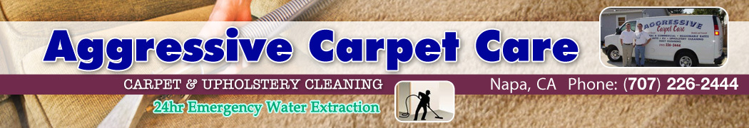 Aggressive Carpet Care & Janitorial