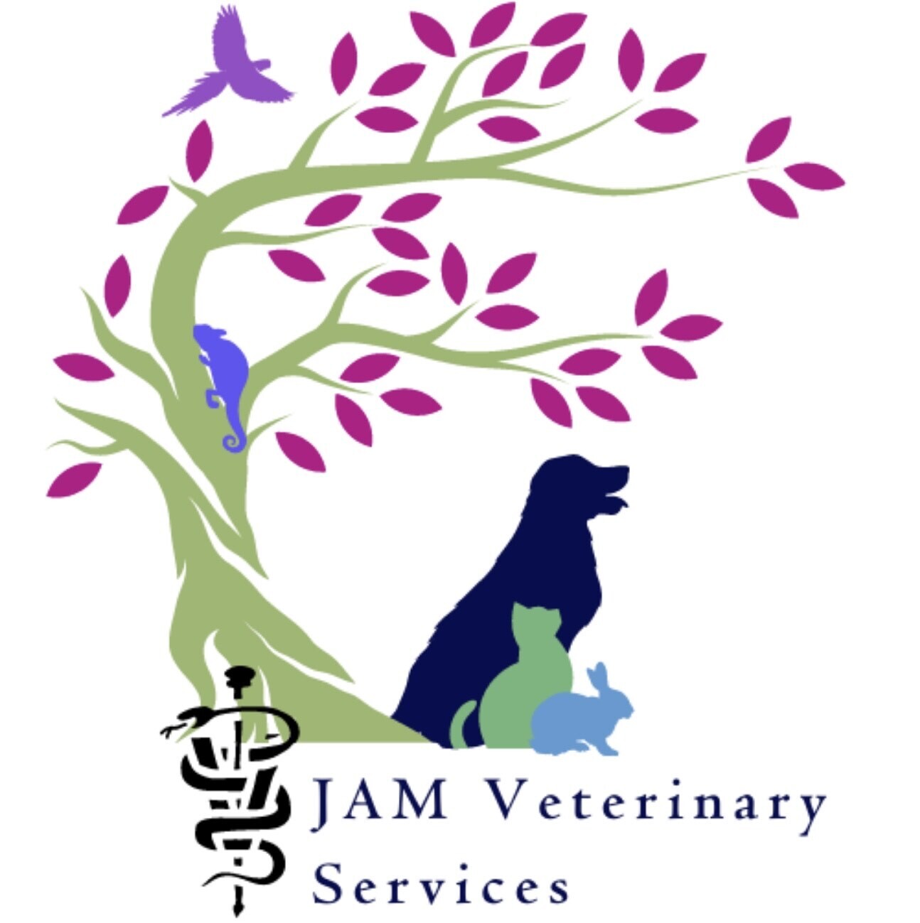 JAM Veterinary Services