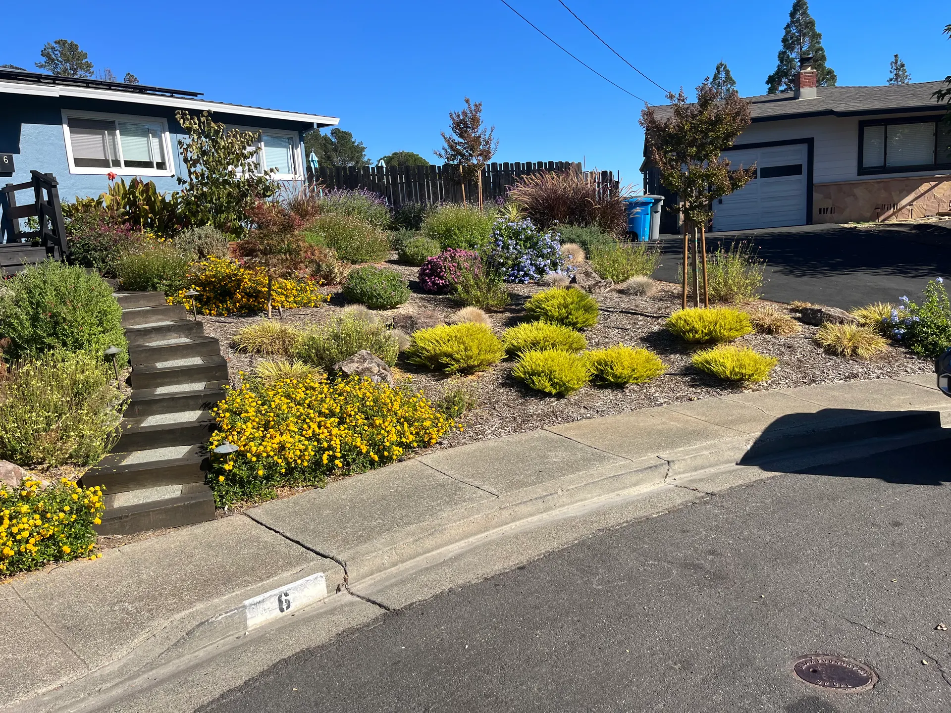 Garcia's Landscaping drought tolerant front yard landscape design