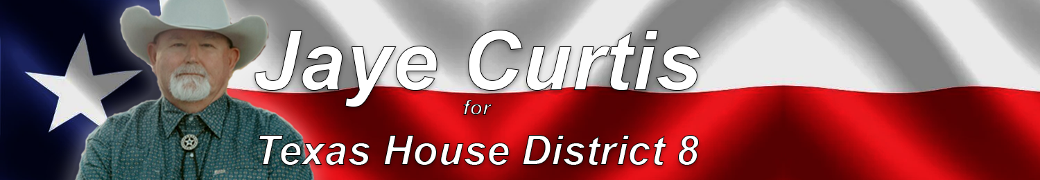 Jaye Curtis for Texas House District 8
