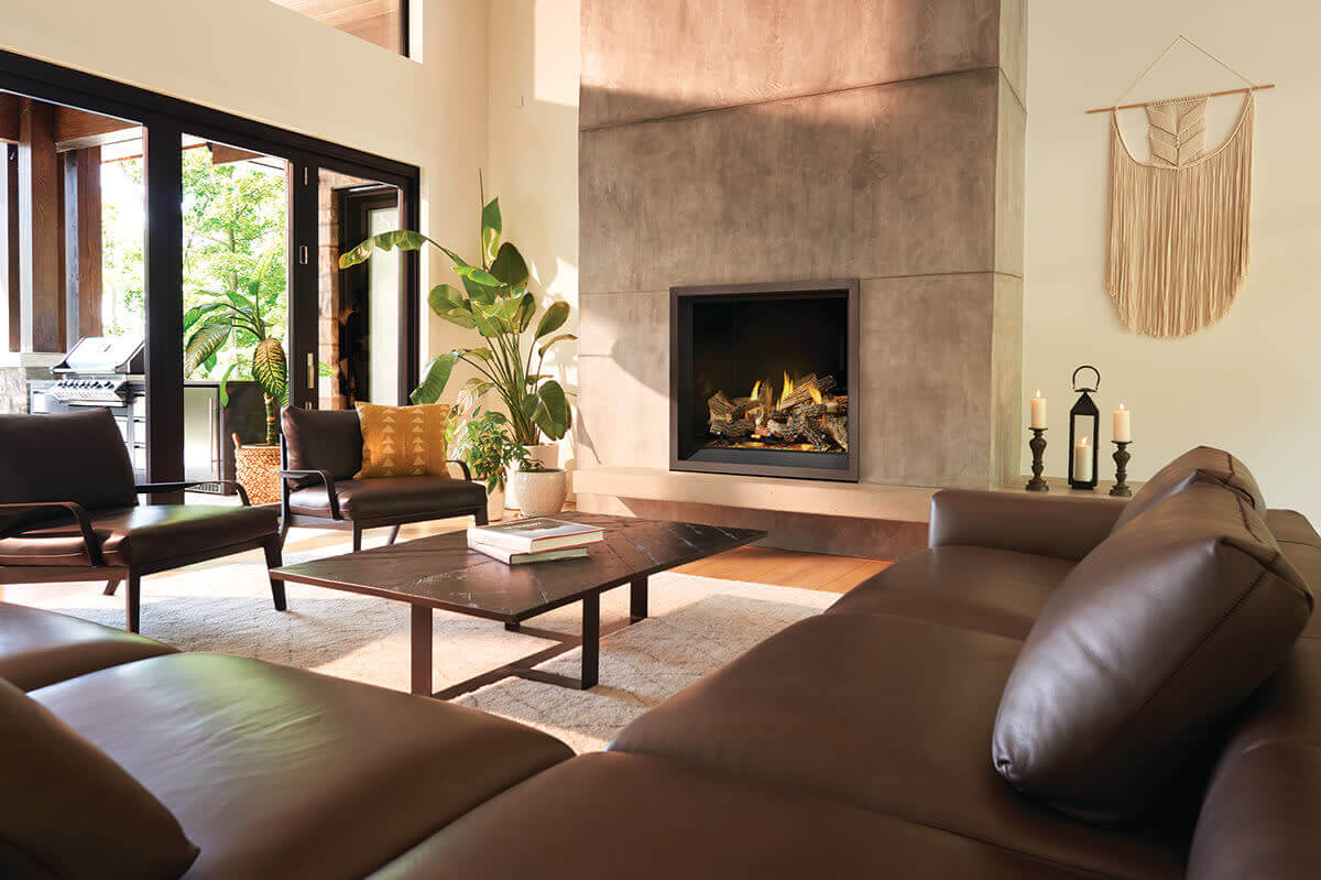 Napoleon gas fireplace