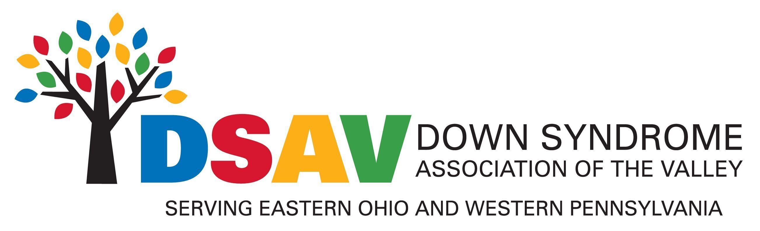 (DSAV) Down Syndrome Association of the Valley