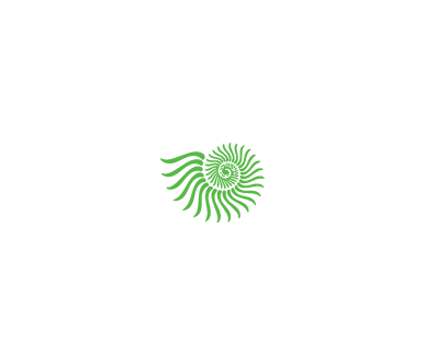 161 Designs
