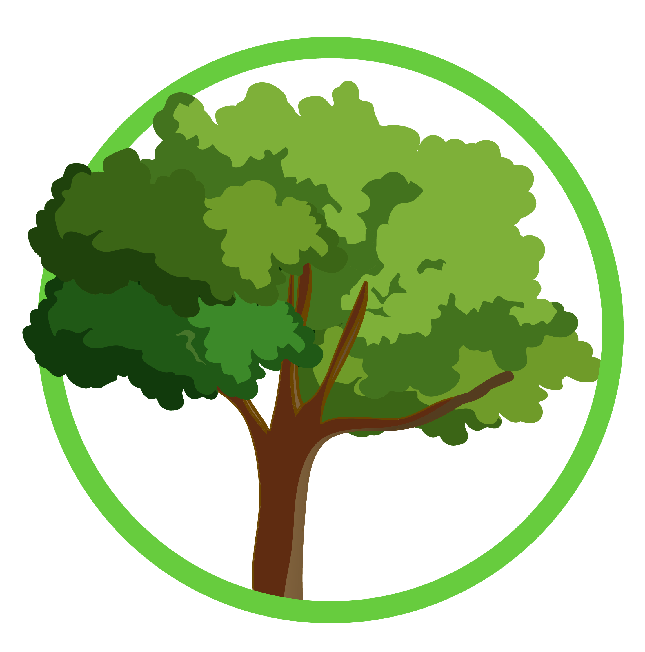 Tree Services near Georgetown, Colo - Saps Tree Service