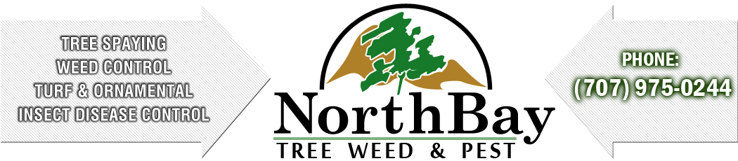 Northbay Tree Weed and Pest