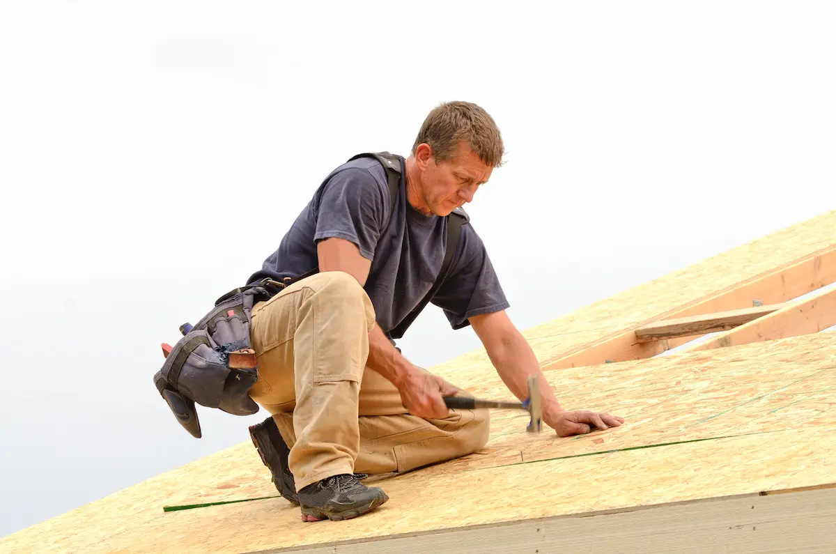 Roofing contractor installing new roof sheeting on a residential home