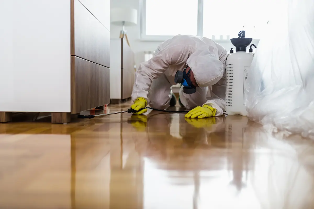 Licensed pest control exterminator in work wear spraying pesticide treatment at a residential property
