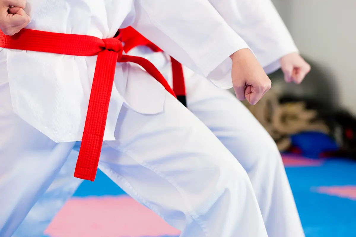 Students training in martial arts techniques on the mat at a professional dojo