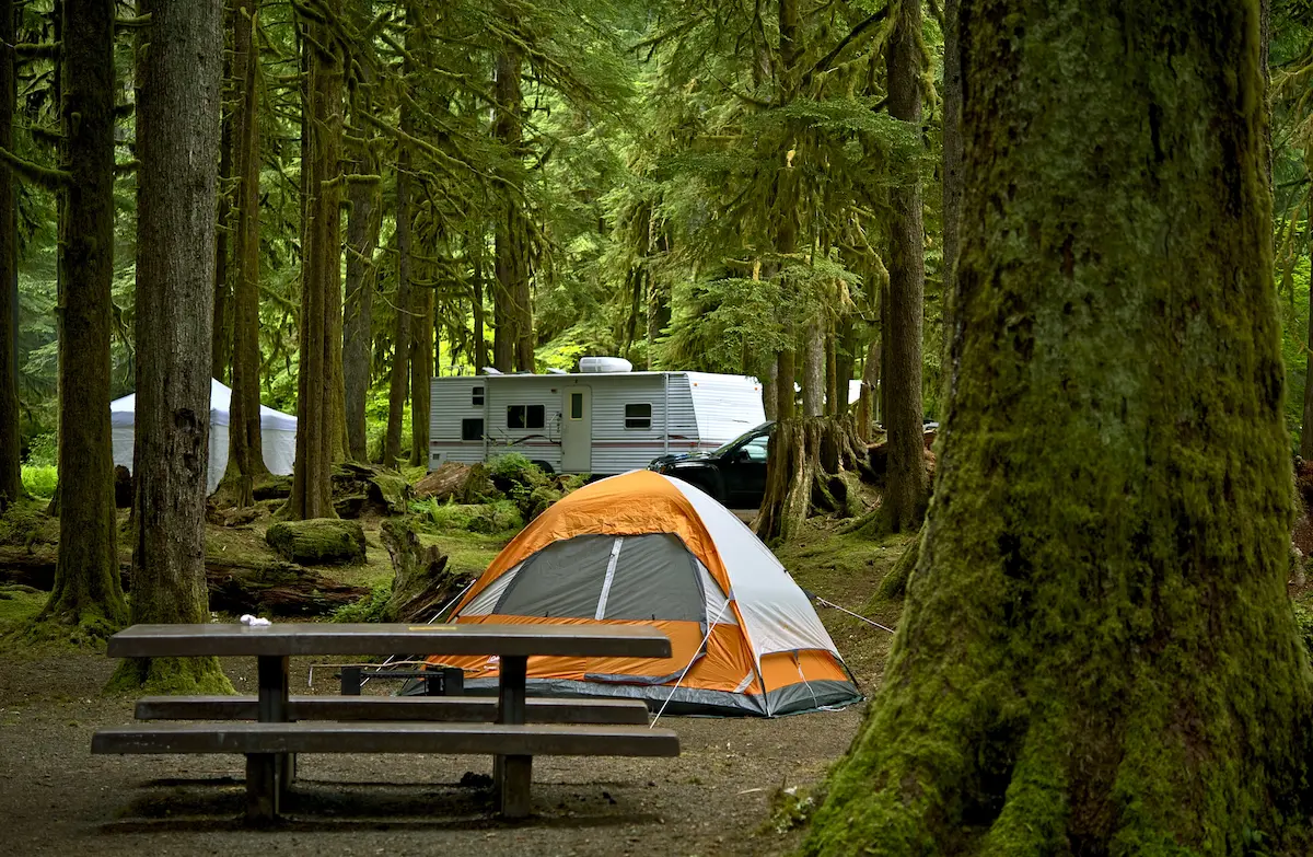 Beautiful campground with tents set up among trees in a scenic outdoor setting surrounded by nature