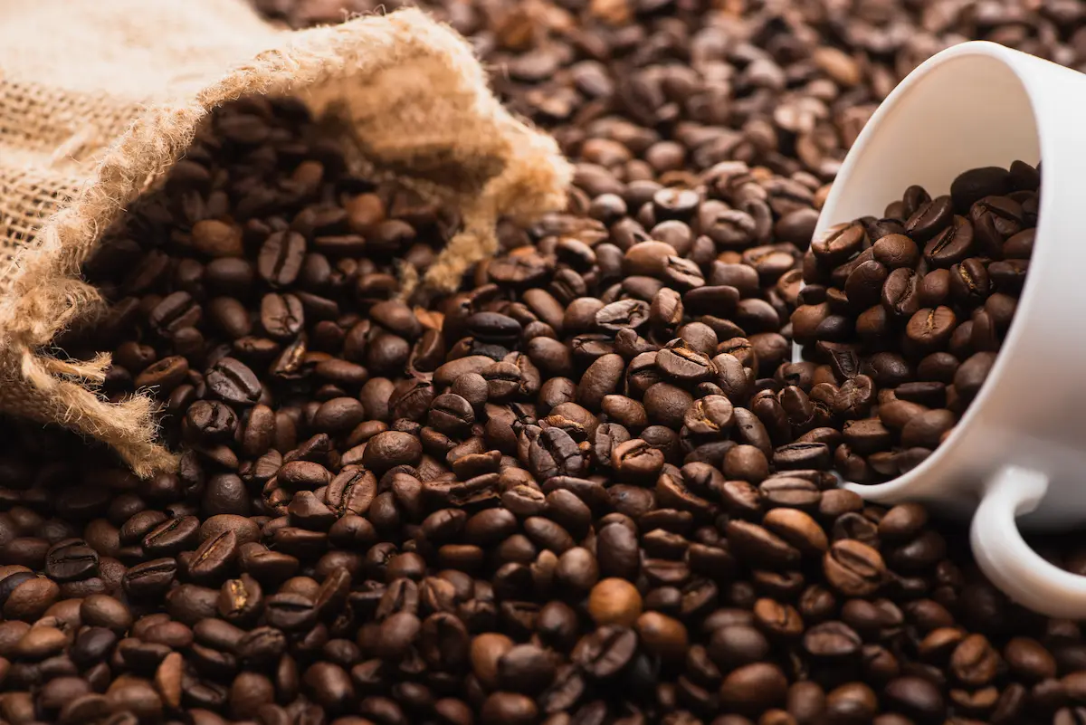 Selective focus view of fresh roasted coffee beans in a white cup with a burlap sack of green coffee in the background