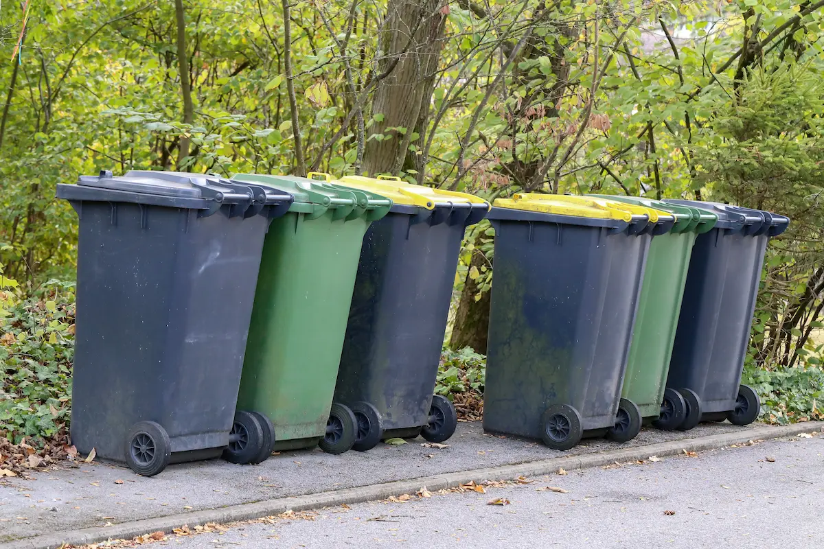 Residential and commercial dumpsters standing at the edge of a street representing the trash bin cleaning and sanitizing service market