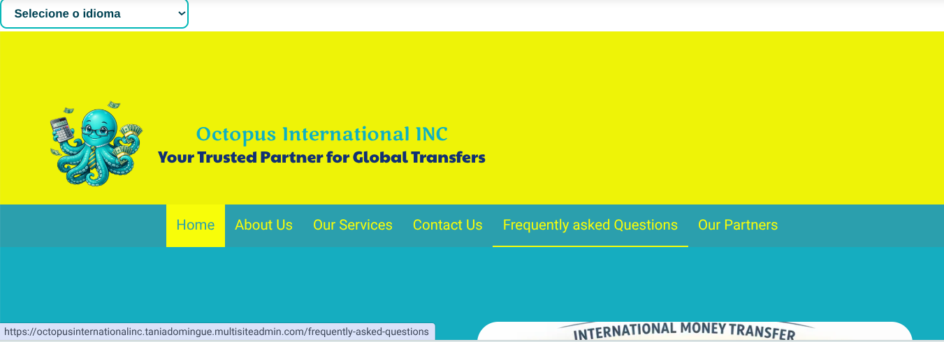 Octopus International INC money transfer financial services website by WebSwan Digital Solutions